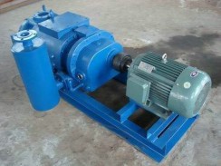 辽宁螺杆真空泵出现卡顿的原因